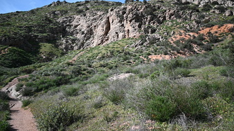Enlarge photo 8