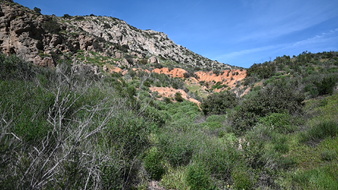 Enlarge photo 9