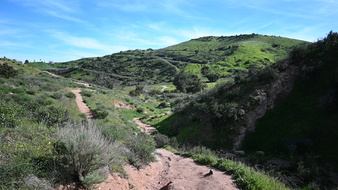 Enlarge photo 10