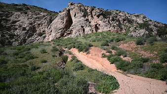 Enlarge photo 11