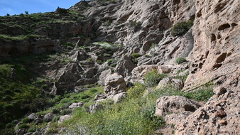 Enlarge photo 14