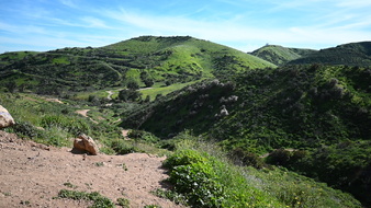 Enlarge photo 15