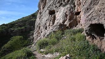 Enlarge photo 18