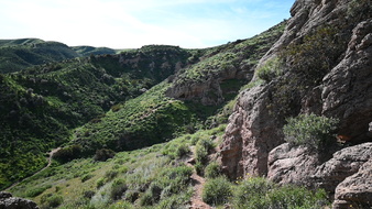 Enlarge photo 19