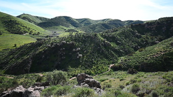 Enlarge photo 20