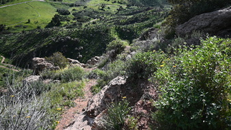 Enlarge photo 22