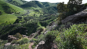 Enlarge photo 23