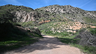 Enlarge photo 24