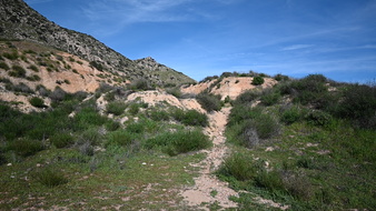 Enlarge photo 25