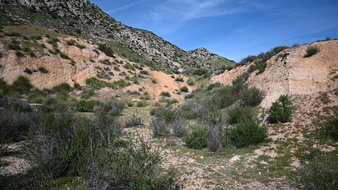 Enlarge photo 26
