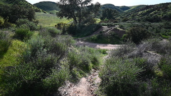 Enlarge photo 27