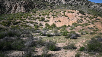 Enlarge photo 28