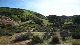 Enlarge photo 29