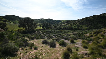 Enlarge photo 30