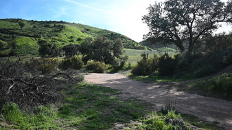 Enlarge photo 31