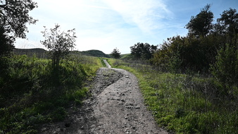 Enlarge photo 32