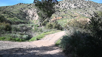 Enlarge photo 33