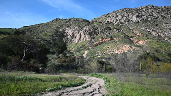 Enlarge photo 34
