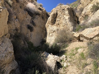 Enlarge photo 5