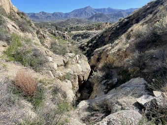Enlarge photo 13