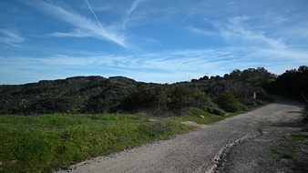 Enlarge photo 2