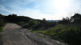 Enlarge photo 3