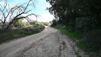 Enlarge photo 5