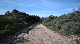 Enlarge photo 6