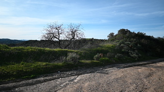 Enlarge photo 7