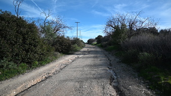 Enlarge photo 8