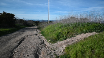 Enlarge photo 10