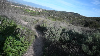 Enlarge photo 11
