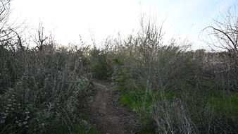 Enlarge photo 13