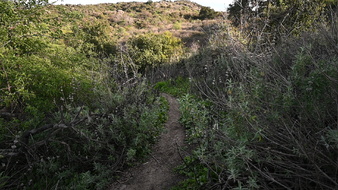 Enlarge photo 14