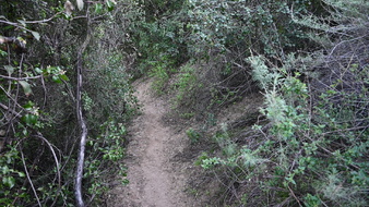 Enlarge photo 15