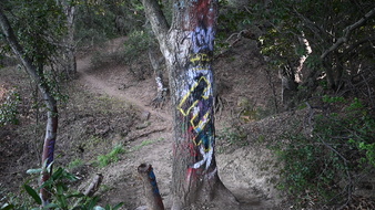 Enlarge photo 16