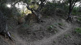 Enlarge photo 17