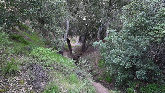 Enlarge photo 19