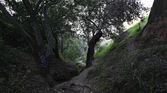 Enlarge photo 21