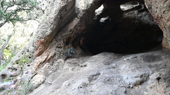 Enlarge photo 23