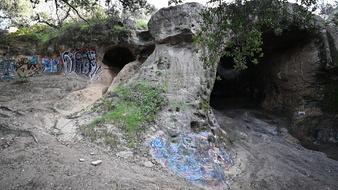 Enlarge photo 31