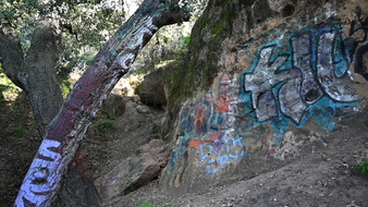 Enlarge photo 33