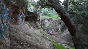 Enlarge photo 34
