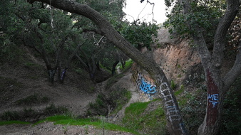 Enlarge photo 35