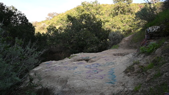 Enlarge photo 40