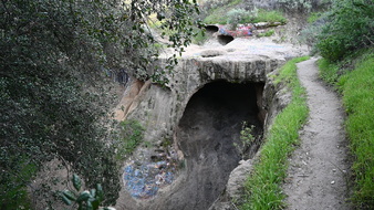 Enlarge photo 42