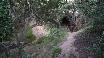 Enlarge photo 43