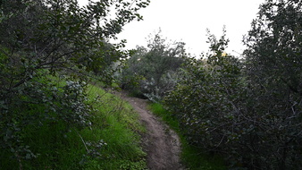 Enlarge photo 44