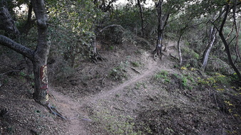 Enlarge photo 45