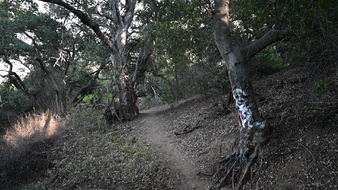 Enlarge photo 46